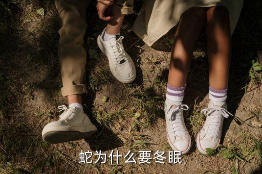 蛇为什么要冬眠