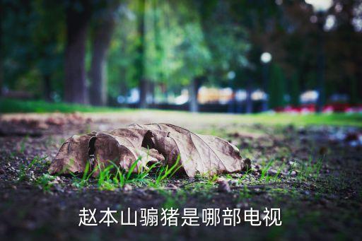 赵本山骟猪是哪部电视