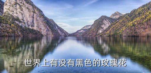 世界上有没有黑色的玫瑰花
