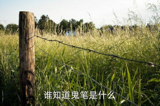 鬼笔，鬼字五笔怎么写