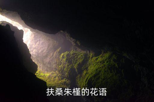 扶桑朱槿的花语