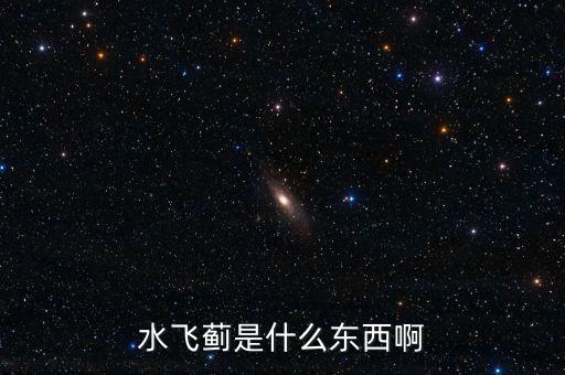 水飞蓟，水飞蓟最喜欢什么样的生长环境