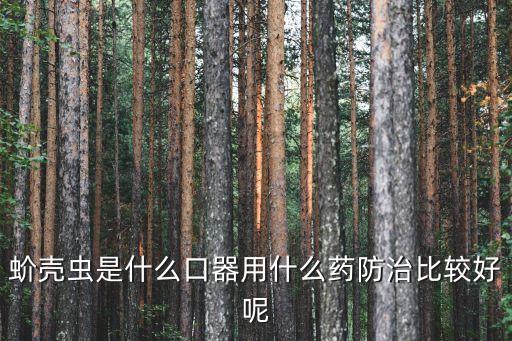 蚧壳虫是什么口器用什么药防治比较好呢