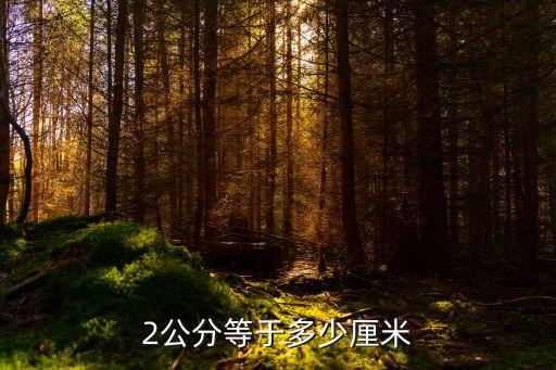 2cm是多少厘米，cm2dm2m2是多少厘米