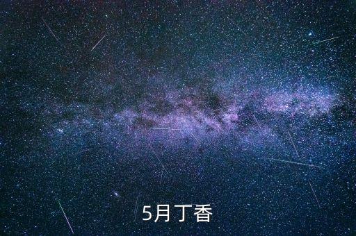 五月丁花香，5月丁香