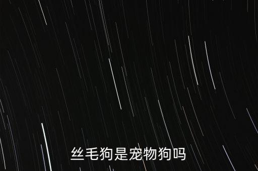 丝毛狗，丝毛狗吃什么东西