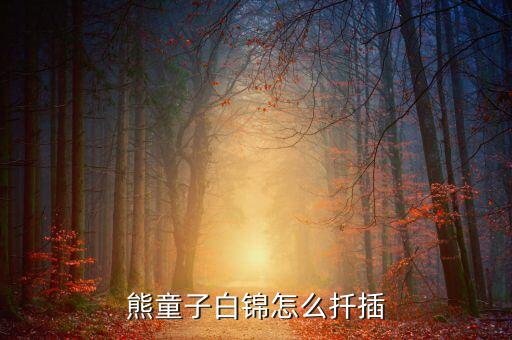 熊童子白锦怎么扦插