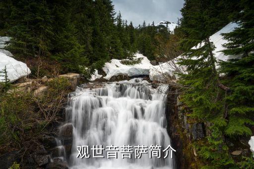 观世音菩萨简介