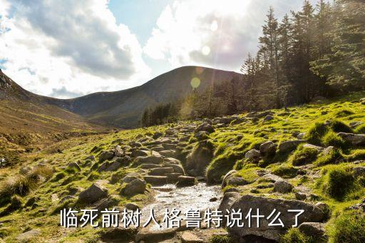 树人格鲁特，格鲁特和树人宝宝是什么关系 小格鲁特来历介绍