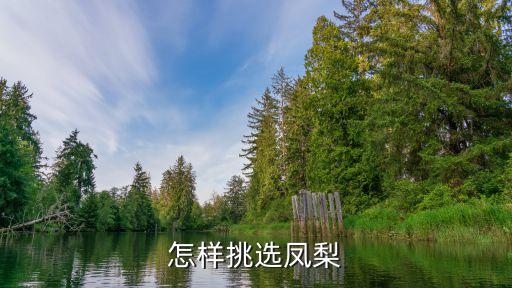 怎样挑选凤梨