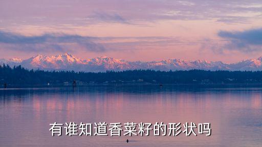 有谁知道香菜籽的形状吗