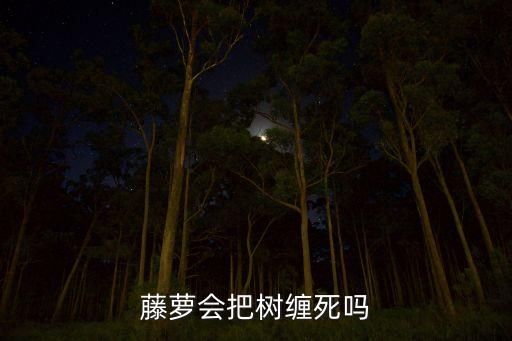 藤萝图片，紫藤萝长什么样开什么花什么颜色