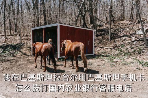 我在巴基斯坦拉合尔用巴基斯坦手机卡怎么拨打国内农业银行客服电话