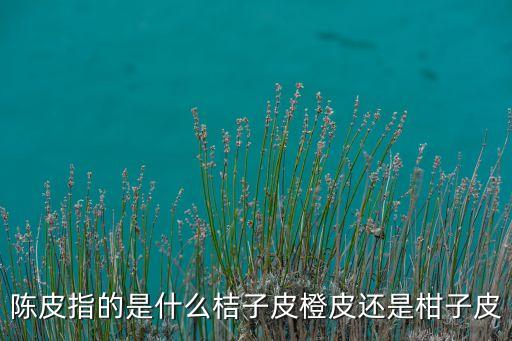陈皮是橘子皮，陈皮是橘子皮吗
