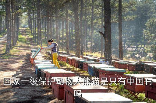大熊猫只有中国有吗，大熊猫只有我们国家有吗