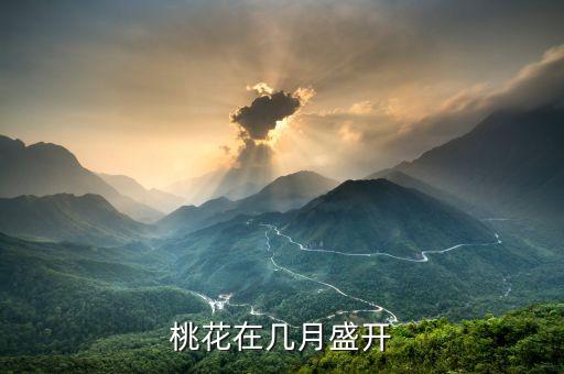 桃花在几月盛开