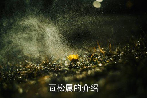 瓦松，瓦松是什么长什么样