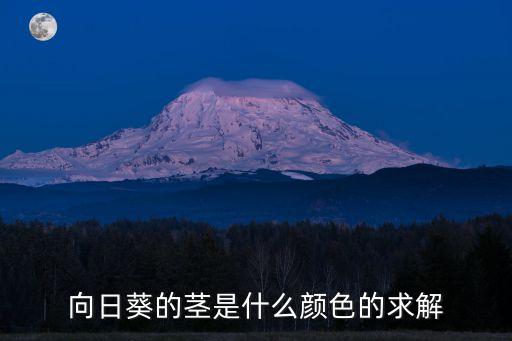 向日葵的茎是什么颜色的求解