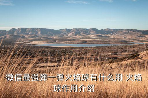 火焰球，御兽之王火焰球堆火强有没有用