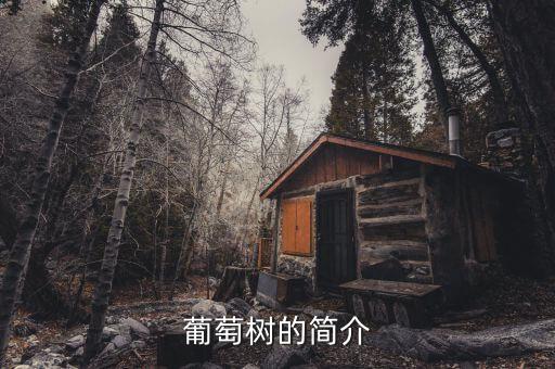 葡萄树，葡萄树属于哪个科哪个属