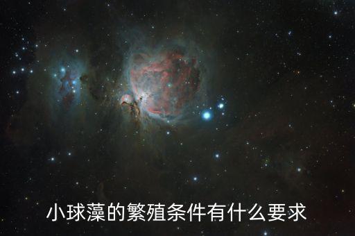 小球藻怎么培养，水产养殖小球藻是怎么培养的