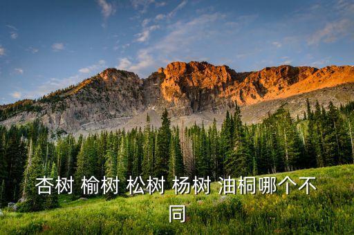 杏树 榆树 松树 杨树 油桐哪个不同