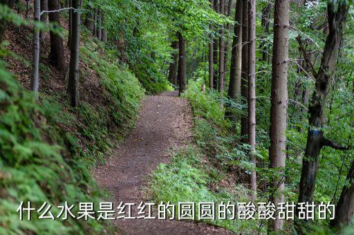 樱桃李子图片，什么水果是红红的圆圆的酸酸甜甜的