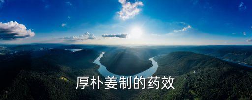 厚朴姜制的药效