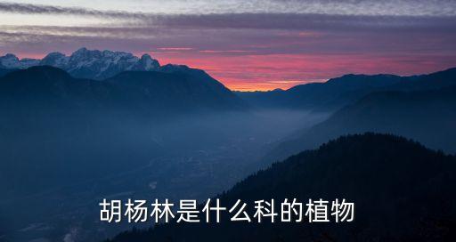 胡杨林，胡杨林是生长在哪里的