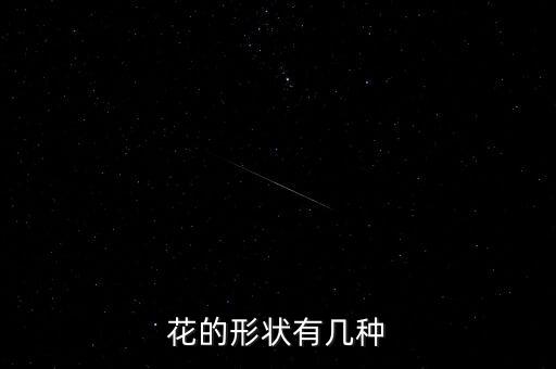 花的形状有几种