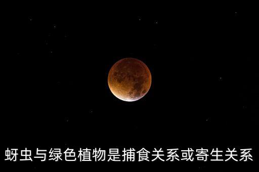 蚜虫与绿色植物是捕食关系或寄生关系