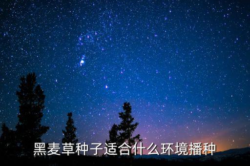 黑麦草种子，黑麦草种子哪里买