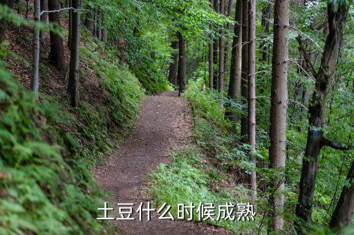 土豆几月份成熟，土豆的成熟季节