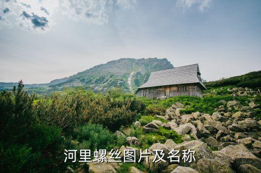 漂螺图片，田螺好有意思