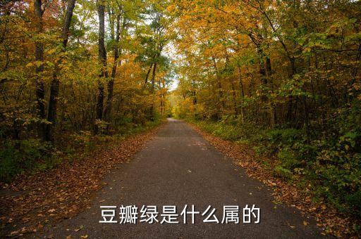 豆瓣绿，豆瓣绿是什么属的