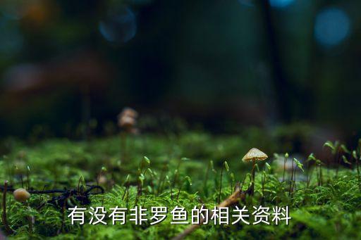 有没有非罗鱼的相关资料