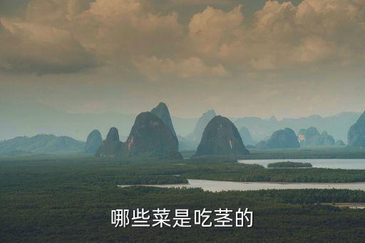 哪些菜是吃茎的