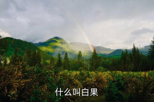什么叫白果