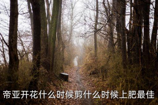 帝亚，求多肉植物蜡牡丹与帝亚的区别