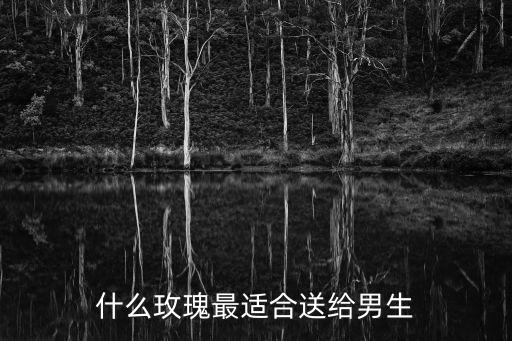 适合送男友的花，什么玫瑰最适合送给男生