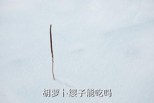 胡萝卜缨子能吃吗