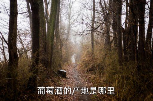 葡萄酒产地，葡萄酒的产地是哪里