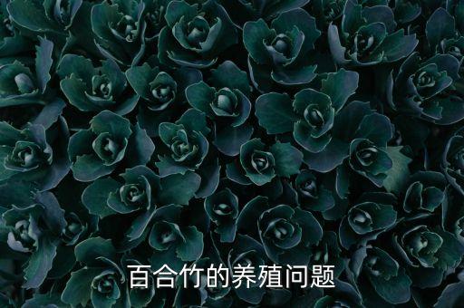 百合竹的养殖问题