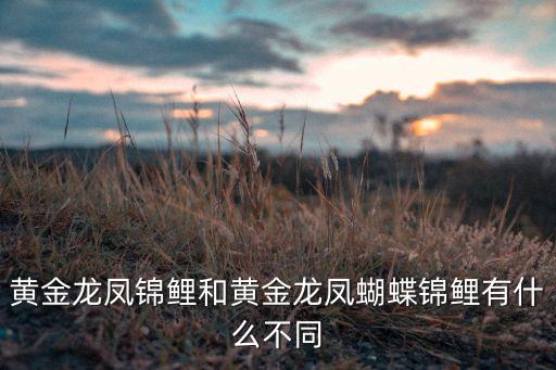 台湾蝴蝶鲤鱼，台湾蝴蝶锦鲤能产卵吗
