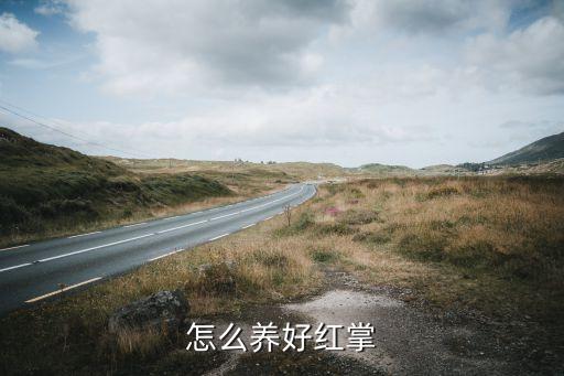 红掌养殖方法，红掌怎么养