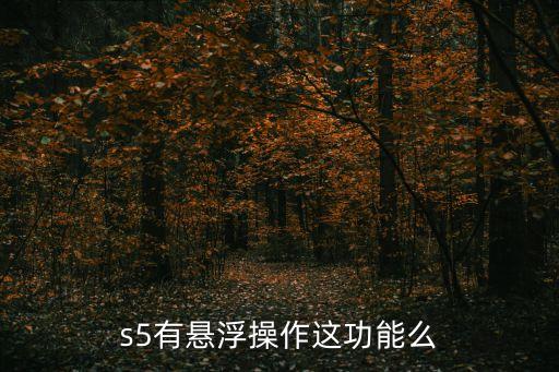 浮浮操，什么是浮操