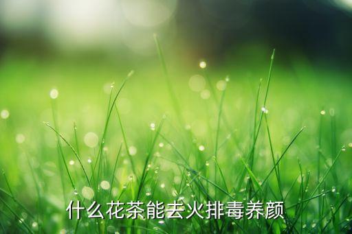 十大排毒养颜花茶，用什么花泡茶可以排毒养颜