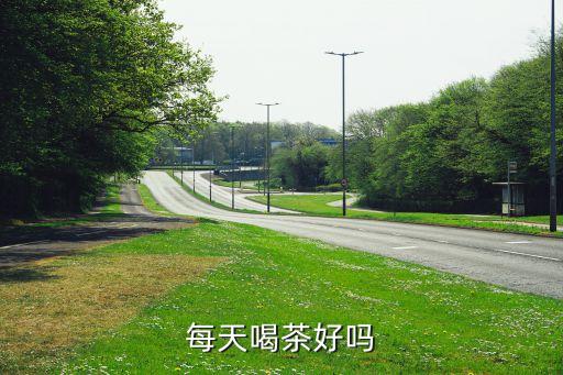 茶可以天天喝吗，天天喝茶好吗
