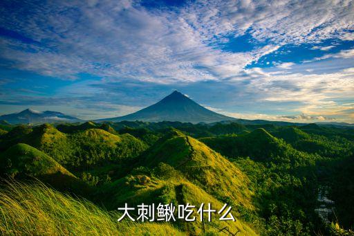 大刺鳅吃什么