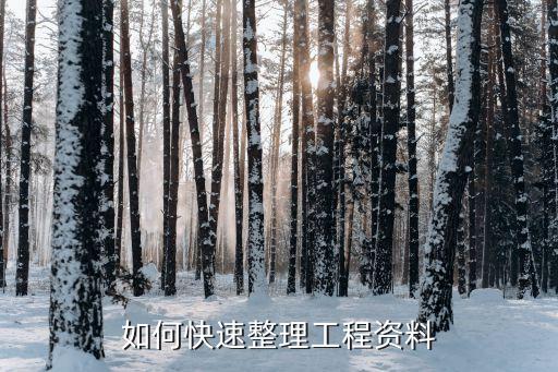 如何快速整理工程资料